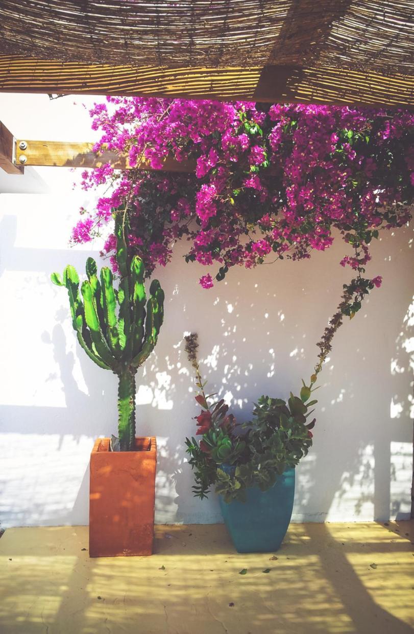 فيلا Casa Marlene رودالكيلار المظهر الخارجي الصورة